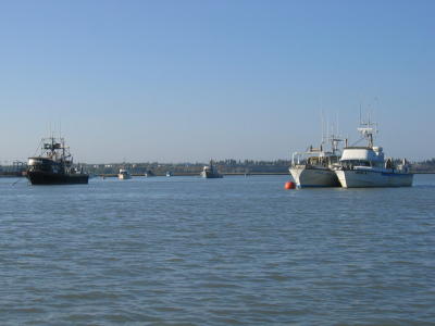 Boats anchored in the Kenai River.
