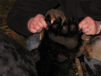 Shanna holding up her Black Bears Paw.